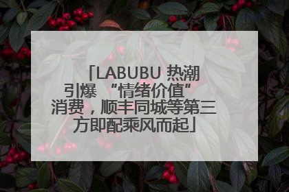 LABUBU 热潮引爆 “情绪价值” 消费，顺丰同城等第三方即配乘风而起
