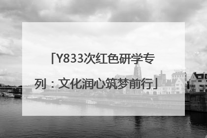 Y833次红色研学专列：文化润心筑梦前行